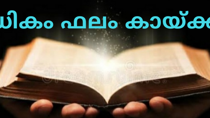 പുതുവത്സര സന്ദേശം: പാസ്റ്റർ മാത്യൂസ് ഇട്ടി