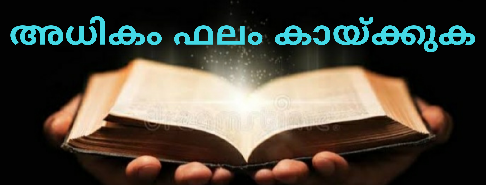 പുതുവത്സര സന്ദേശം: പാസ്റ്റർ മാത്യൂസ് ഇട്ടി
