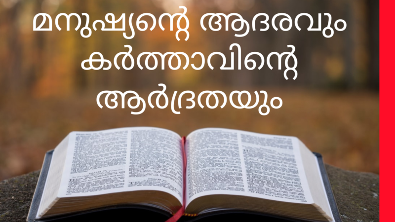 ലേഖനം