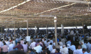 മാരാമൺ കൺവൻഷൻ