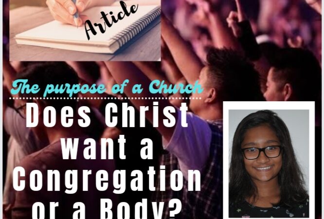 Article: The purpose of a Church